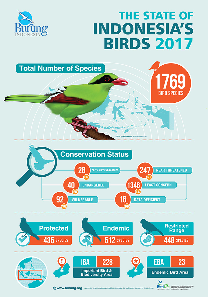 Infografis Status Keterancaman Burung di Indonesia 2017. Sumber: Burung Indonesia