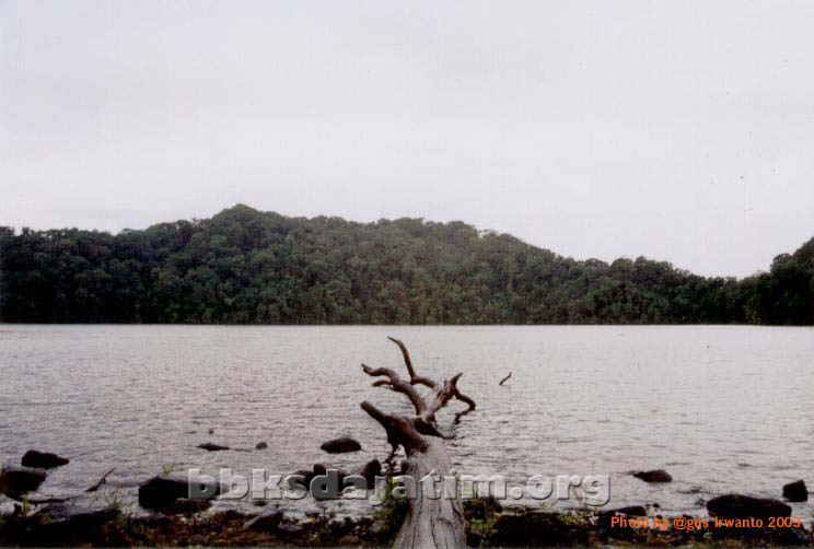 Kastoba-03a