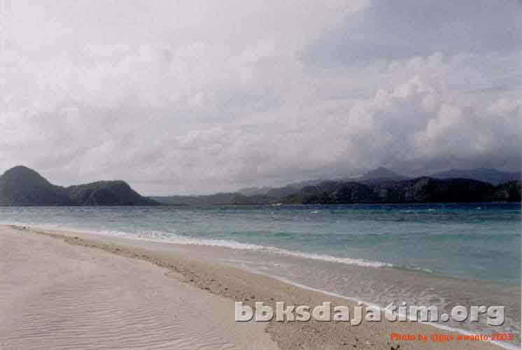 Noko-1 copy