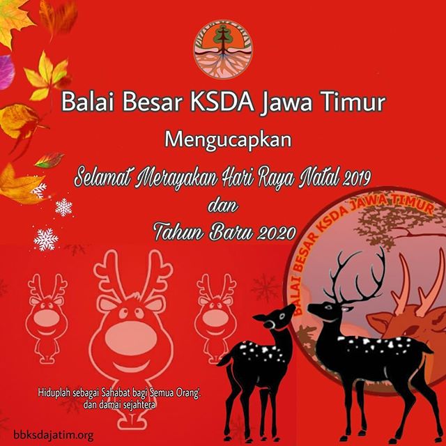 Segenap Keluarga Balai Besar KSDA Jawa Timur mengucapkan selamat Natal bagi yg merayakan 🎉
We wish you a joyful, wonderful, Merry Christmas! ⛄️🤶🏼