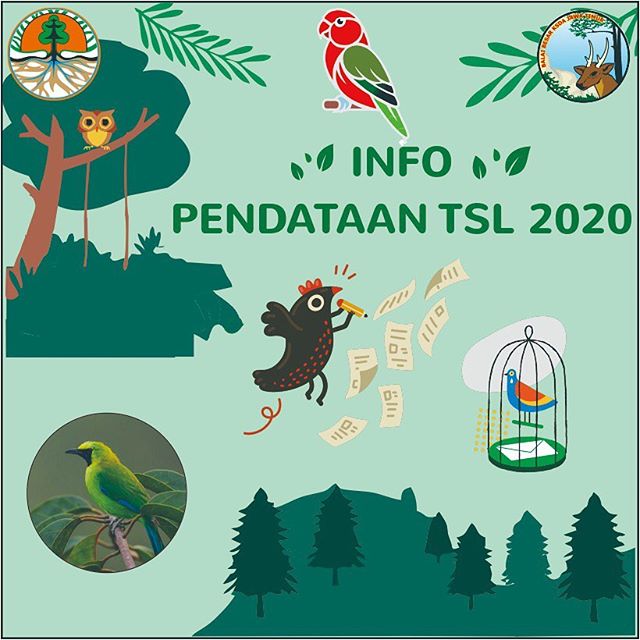 Halo Sobat Konservasi! 📢
Ada info terbaru nih terkait Pendataan TSL Dilindungi yg masuk P 106. Kali ini Balai Besar KSDA Jawa Timur punya terobosan baru dalam melakukan pendataan TSL, sehingga sangat memudahkan masyarakat Jawa Timur. .
⭐️ TEROBOSANNYA APA SIH?
Yak, jadi bagi sobat konservasi yg belum mendaftarkan burung cucak ijo nya dan atau TSL lain yg masuk P 106, kalian bisa daftar di website pendataantsl.com kemudian cetak sendiri (format pdf) tanpa harus ambil print out ke Kantor BBKSDA Jatim .
⭐️ KALAU DULU SAYA UDAH DAFTAR GIMANA?
Don’t worry be happy sobat konservasi 😊 Kami berikan kemudahan kepada sobat konservasi semuanya, tinggal buka alamat web pendataantsl.com masukkan NIK KTP pada menu “ Lihat Bukti Pendataan TSL”. Bukti pendataan TSL akan otomatis tercetak (format pdf) pada website tersebut .
⭐️ SAYA SUDAH DAFTAR TAPI SALAH MEMASUKKAN JENIS BURUNG, TERUS GIMANA?
Jangan panik! 
1. Masuk web pendataantsl.com, 
2. kemudian hubungi call center yg tertera pada website di : 085155345700, sampaikan bahwa ada kesalahan dapat proses penginputan data. 
3. Tunggu beberapa saat, jika data sudah terhapus oleh admin, 
4. Silagjan melakukan pendataan ulang di website tersebut dengan klik menu *Pendaftaran Baru Pendataan TSL* .
⭐️ SAYA SUDAH BERHASIL MENDAFTAR NAMUN BUKTI PENDATAANNYA TIDAK DAPAT DI PRINT ☹️
Santuy sobat konservasi!
Pastikan km membuka website tersebut menggunakan CHROME, bukan yang lain. Silahkan coba consmin pastikan bisa! 😊
Jadi sobat konservasi tidak perlu datang lagi ke kantor BBKSDA Jawa Timur, MUDAH KAN? 🔥
Semoga dapat semakin memudahkan sobat konservasi sekalian ya 💖 
Salam Konservasi, Pasti Lestari 💚 .
#KSDAEHebat
#BBKSDAJatimKiniBeda
#PendataanTSL
#CucakIjo
@siti.nurbayabakar 
@inungwiratno 
@nprihadi