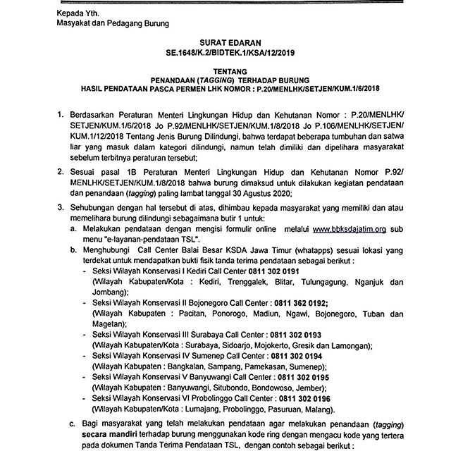 Halo Sahabat Konservasi especially “Sobat Per-manukan” Jawa Timur 😊 Ada kabar penting nih terkait Tindak Lanjut Hasil Pendataan Jenis Burung Dilindungi yang masuk Permen LHK No : P.20 tahun 2018. Yuk dibaca dengan seksama ya sobat. Semoga dengan terbitnya Surat Edaran ini dapat mencerahkan “sobat-sobat permanukan” di Jawa Timur ya. 
Jika masih ada pertanyaan silahkan hubungi contact center kami yg tertera pada edaran ini ya. Salam Konservasi 💚
.
.
@siti.nurbayabakar 
@inungwiratno 
@nprihadi .
#KementerianLHK
#KSDAEHebat
#InfoJawaTimur
#cucakijomania 
#cucakijo