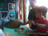 Pameran Konservasi dalam Pekan Budaya dan Pariwisata Kabupaten Kediri Tahun 2014