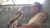 Masyarakat Serahkan Cirrhatus
