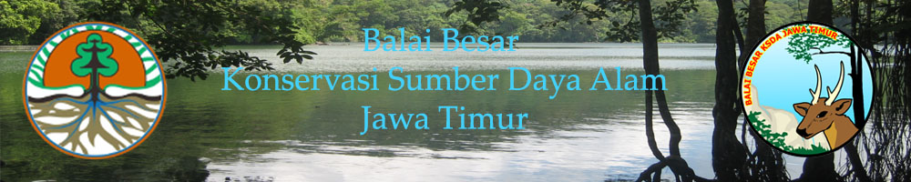 Balai Besar KSDA Jawa Timur