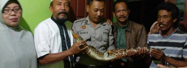 buaya sumberpucung