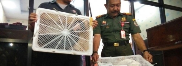 sumber : news.detik.com