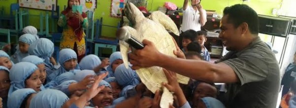 ratusan bocah tk belajar penyu