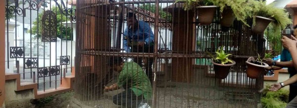 evakuasi merak kediri