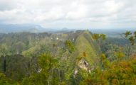 Karst Sangkulirang kala dilihat dari atas puncak Bukit Ketepu. Karst Sangkulirang termasuk ke dalam tipe bentukan tower karst karena bentuk menyerupai tower-tower yang menjulang tinggi. Kawasan penting dan unik seperti ini bisa terancam kala aturan perlindungan tak kuat. Foto: Lawalata IPB